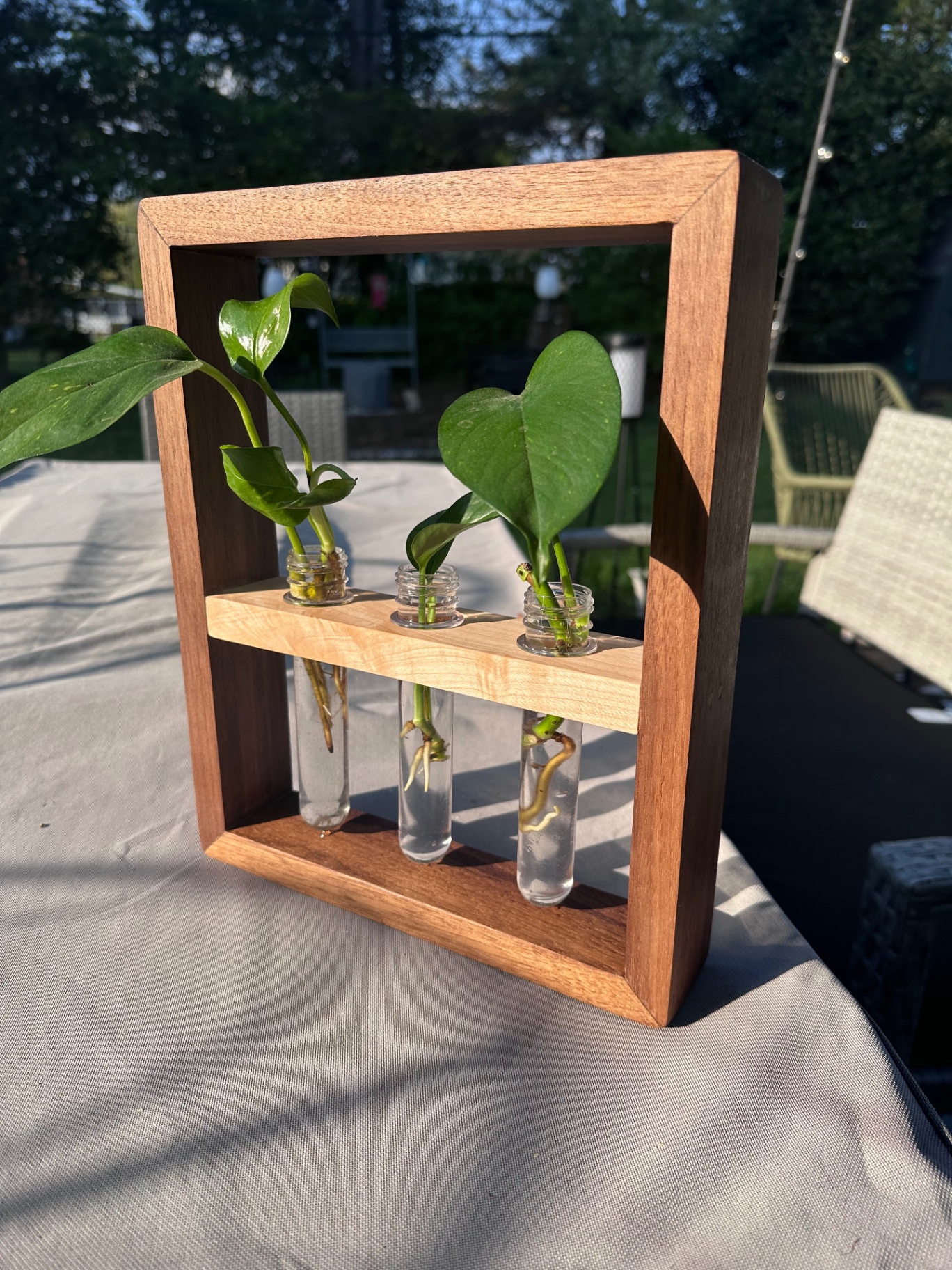 Plant Stands & Propagation Stations